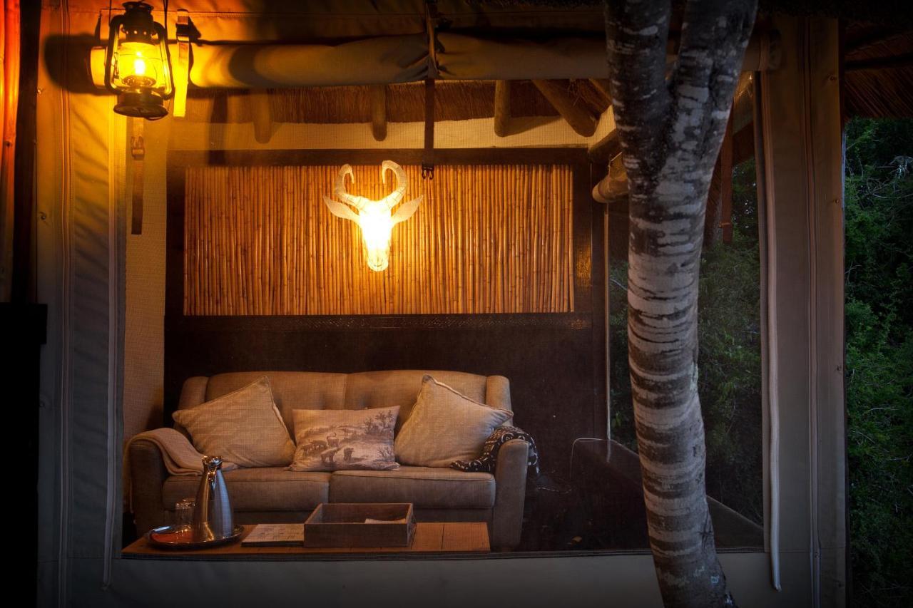 Safari Lodge - Amakhala Game Reserve Zewnętrze zdjęcie