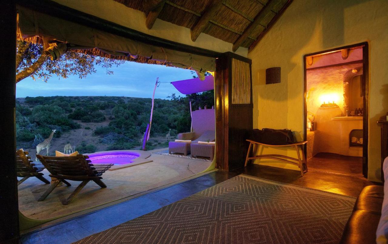 Safari Lodge - Amakhala Game Reserve Zewnętrze zdjęcie