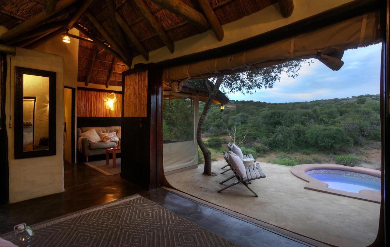 Safari Lodge - Amakhala Game Reserve Zewnętrze zdjęcie