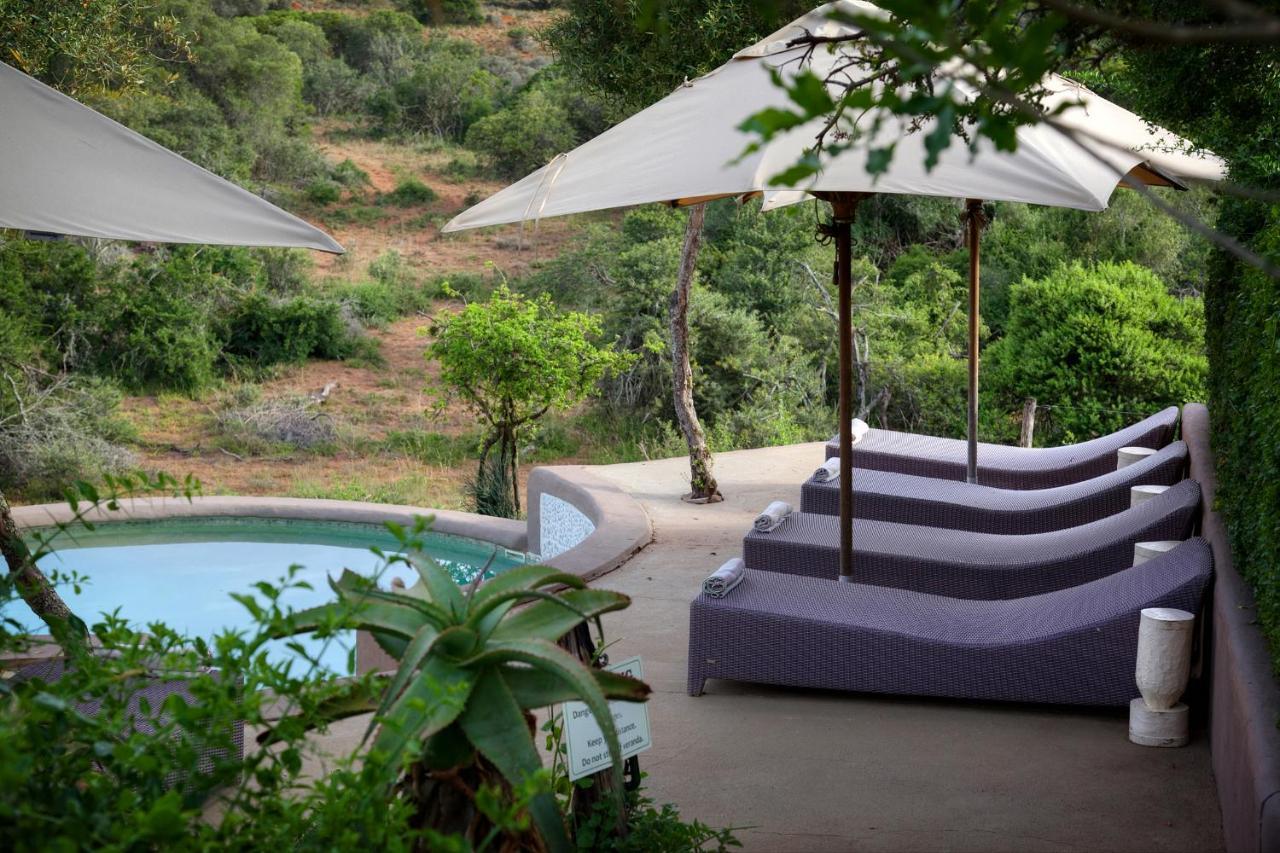 Safari Lodge - Amakhala Game Reserve Zewnętrze zdjęcie