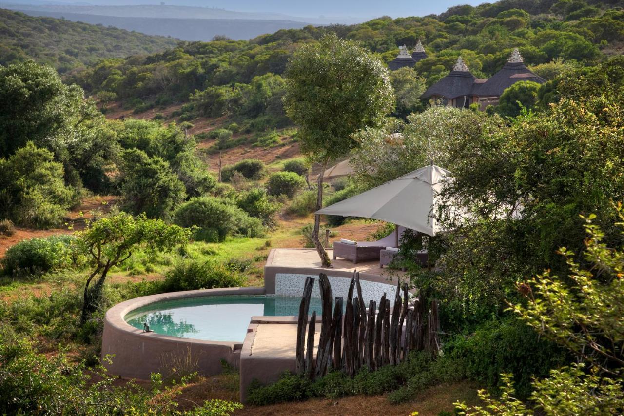 Safari Lodge - Amakhala Game Reserve Zewnętrze zdjęcie