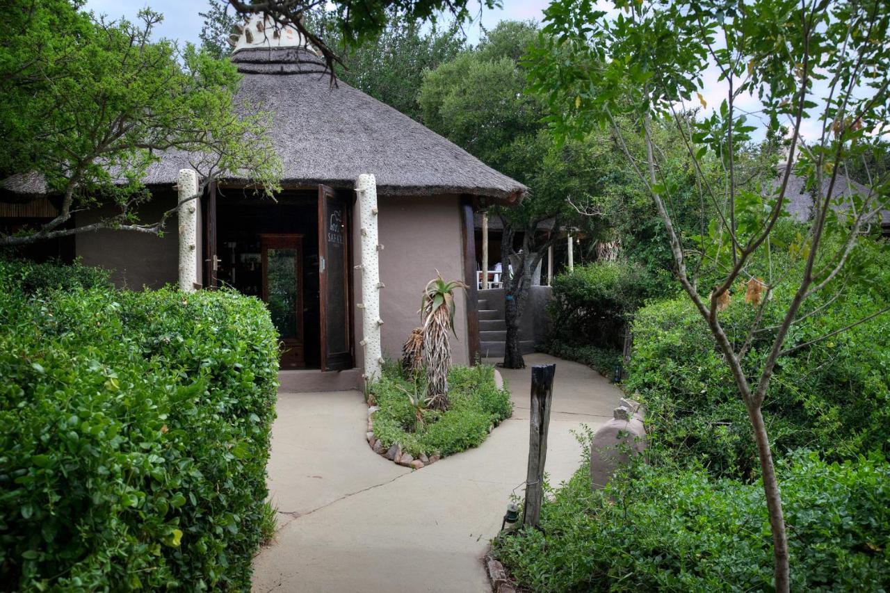 Safari Lodge - Amakhala Game Reserve Zewnętrze zdjęcie