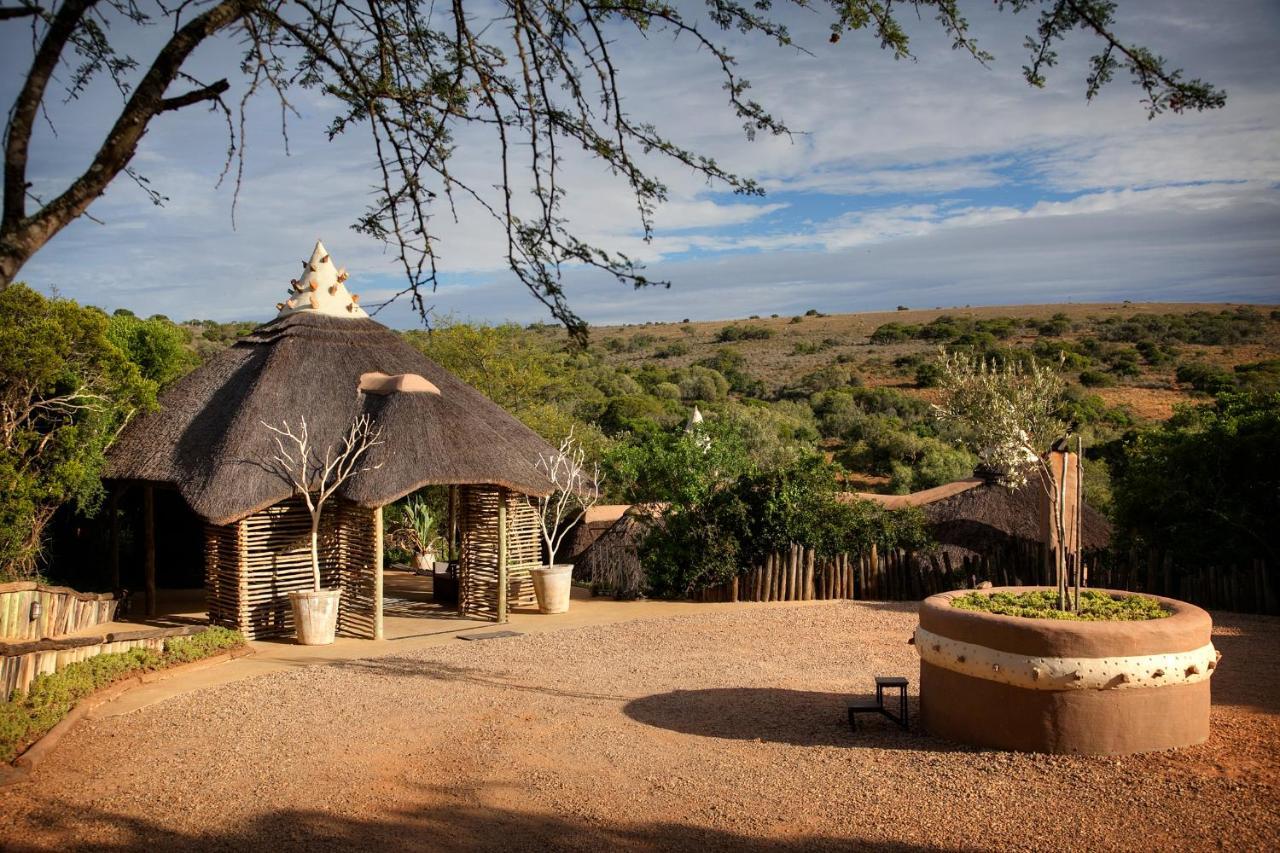 Safari Lodge - Amakhala Game Reserve Zewnętrze zdjęcie