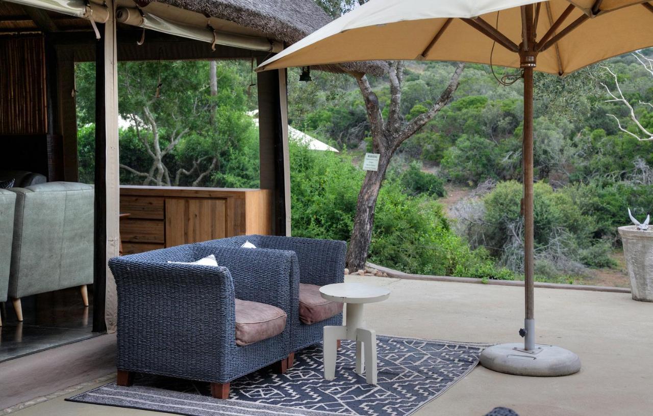 Safari Lodge - Amakhala Game Reserve Zewnętrze zdjęcie