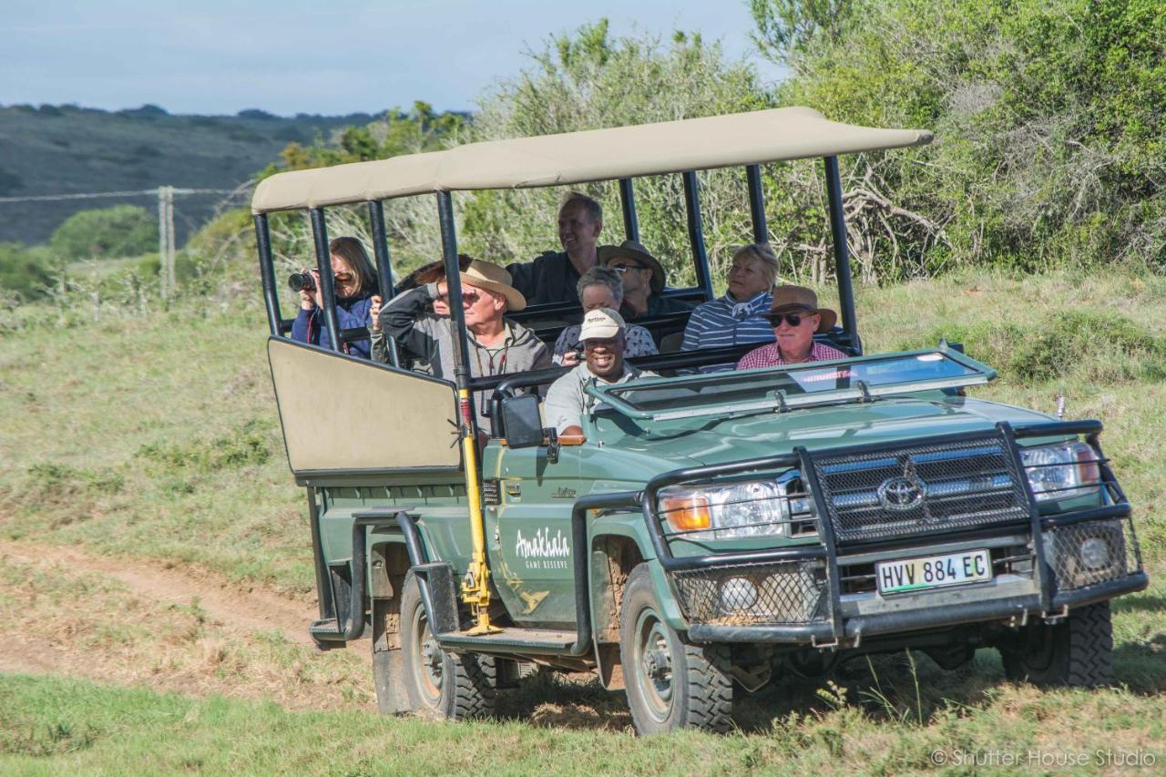 Safari Lodge - Amakhala Game Reserve Zewnętrze zdjęcie