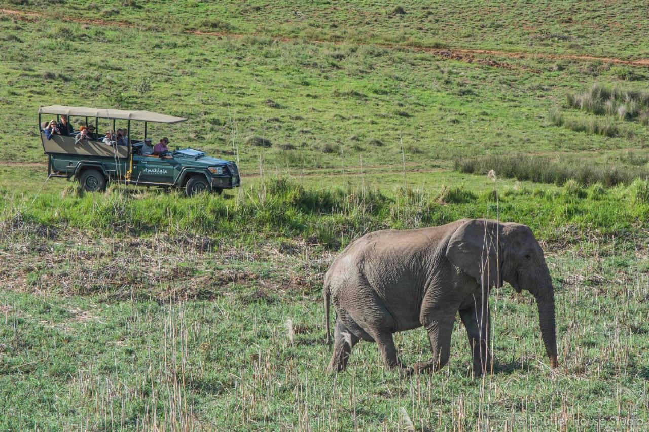 Safari Lodge - Amakhala Game Reserve Zewnętrze zdjęcie