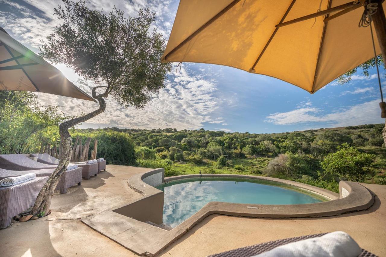 Safari Lodge - Amakhala Game Reserve Zewnętrze zdjęcie