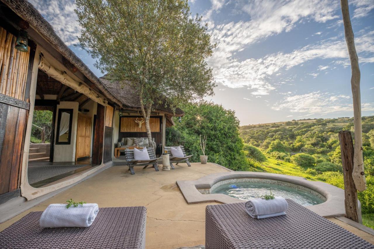 Safari Lodge - Amakhala Game Reserve Zewnętrze zdjęcie
