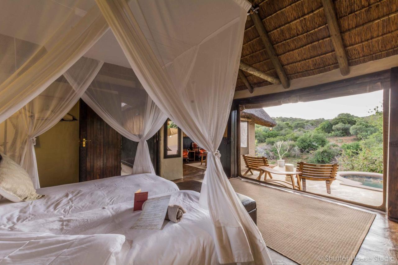 Safari Lodge - Amakhala Game Reserve Zewnętrze zdjęcie