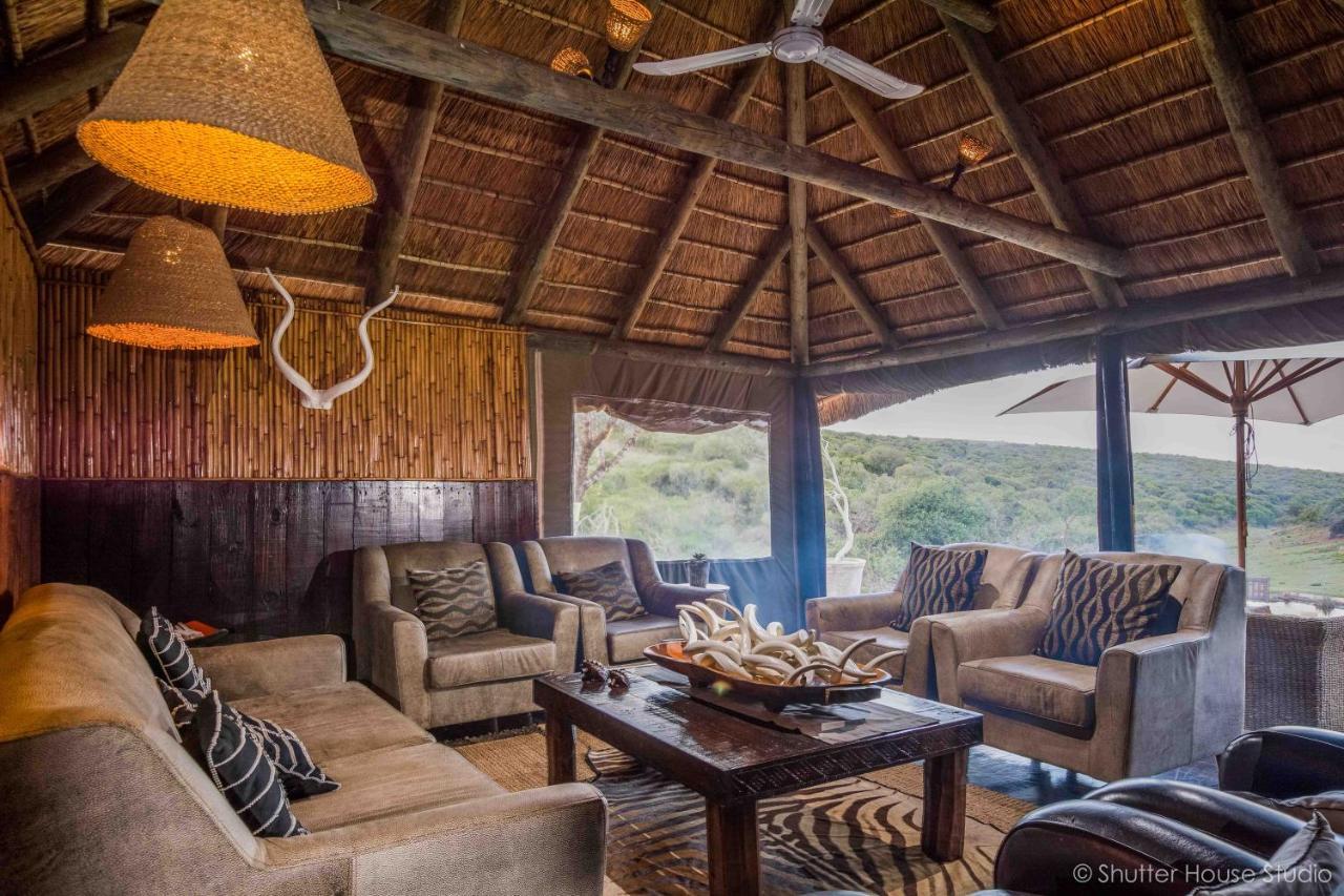 Safari Lodge - Amakhala Game Reserve Zewnętrze zdjęcie